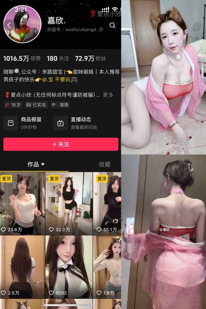 抖音 嘉欣 微密圈  NO.011 【17P4V】最新至：2025.5.12-草莓酱