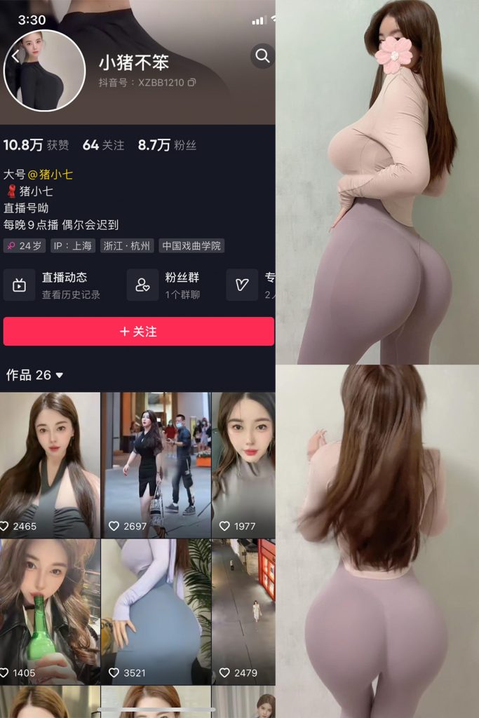 抖音 小猪不笨 微密圈 NO.003期 【28P13V】-草莓酱