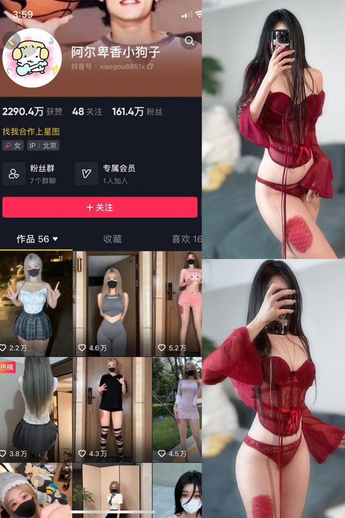 抖音 阿尔卑香小狗子 微密圈  NO.004期 【10P2V】-草莓酱