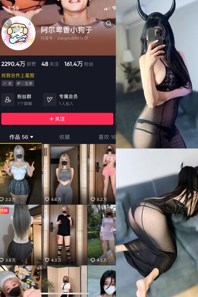抖音 阿尔卑香小狗子 微密圈  NO.003期 【26P2V】-草莓酱