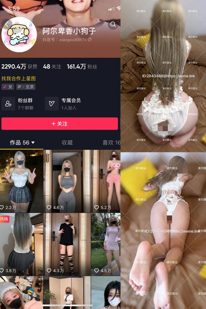 抖音 阿尔卑香小狗子 微密圈  NO.002期 【16P1V】-草莓酱